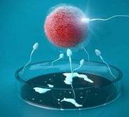 厦门试管费用需要多少？内附厦门试管费用明细！