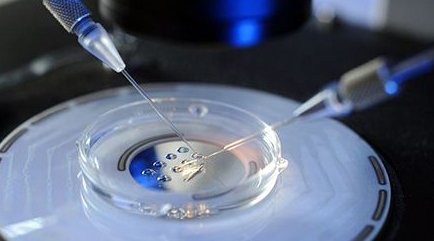 盆腔炎患者可不可以做一代试管婴儿？